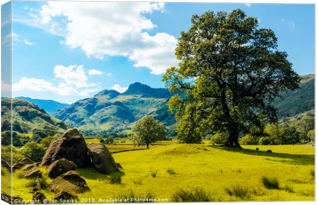 Langdale Pikes from Copt Howe 1 Canvas Print by Jon Sparks