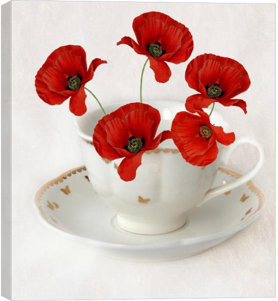 cup of poppy's Canvas Print by sue davies