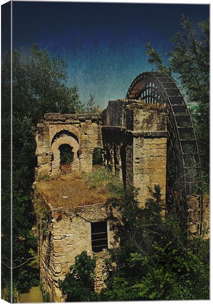 The old Watermill Cordoba Canvas Print by Gary Miles