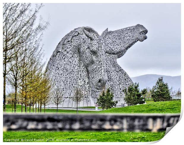 The Kelpies HDR image at the Helix , Falkirk Print by Photogold Prints