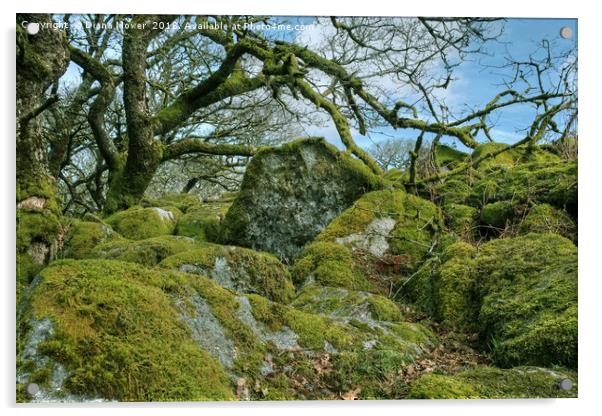 Wistman's Wood Dartmoor Acrylic by Diana Mower