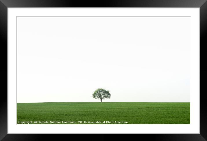 Single tree on a green field Framed Mounted Print by Daniela Simona Temneanu