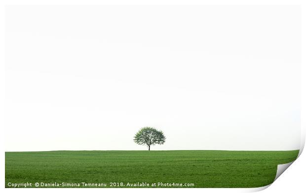 Single tree on a green field Print by Daniela Simona Temneanu