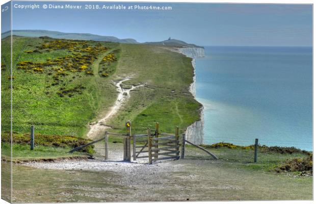 Walking the Seven Sisters Canvas Print by Diana Mower