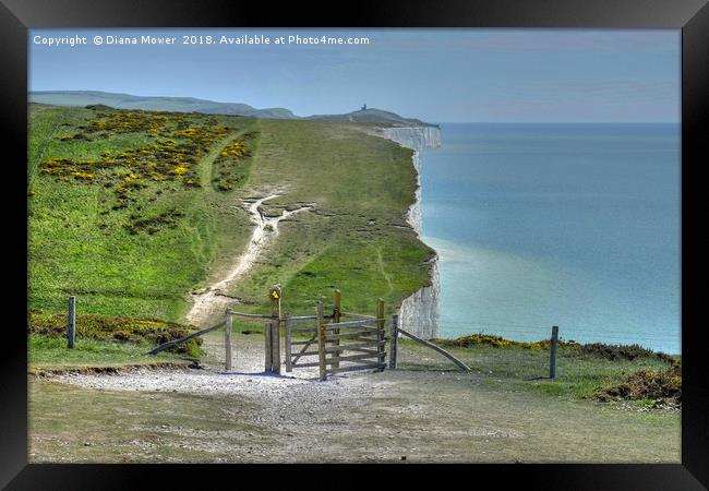 Walking the Seven Sisters Framed Print by Diana Mower