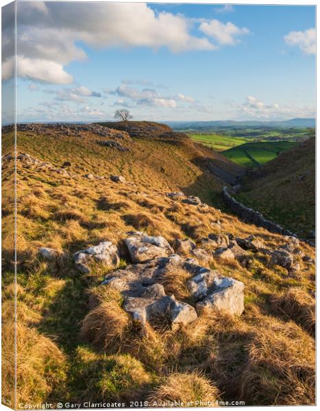 Afternoon Sun at Malham Canvas Print by Gary Clarricoates