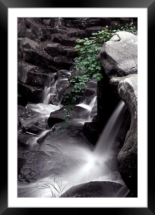 Ivy water fall Framed Mounted Print by Doug McRae