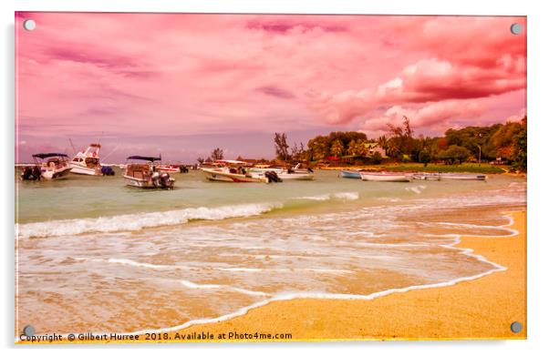 Paradise Exposed: Flic en Flac, Mauritius Acrylic by Gilbert Hurree