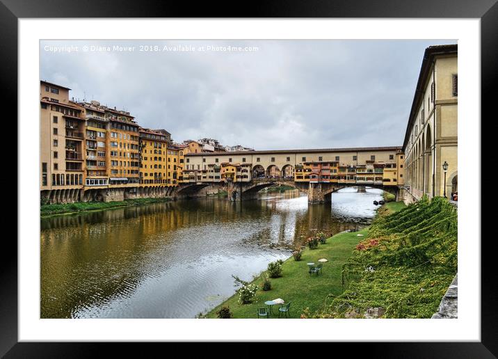 Ponte Vecchio over the river Arno Florence. Framed Mounted Print by Diana Mower
