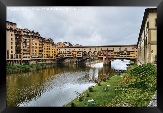 Ponte Vecchio over the river Arno Florence. Framed Print by Diana Mower