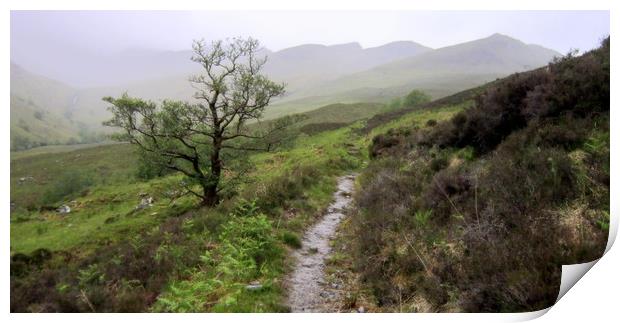 highland mist Print by dale rys (LP)