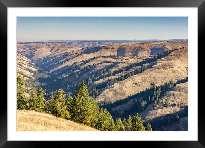 Rolling Hills of Oregon Framed Mounted Print by Bob Small
