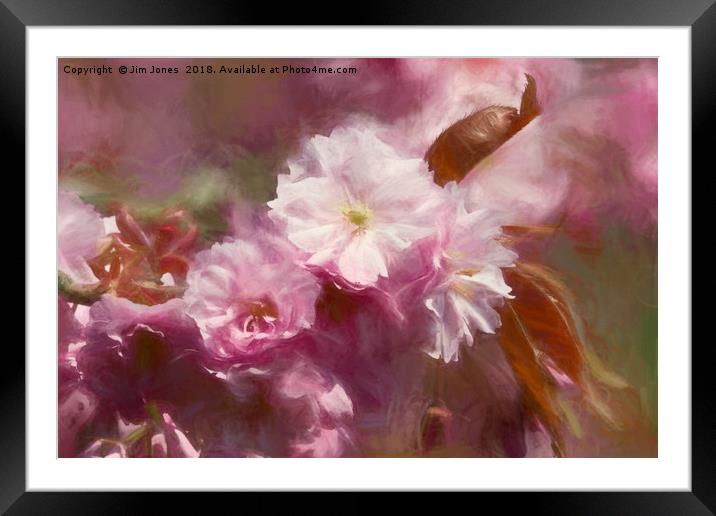 Pastel Pink Impressions Framed Mounted Print by Jim Jones