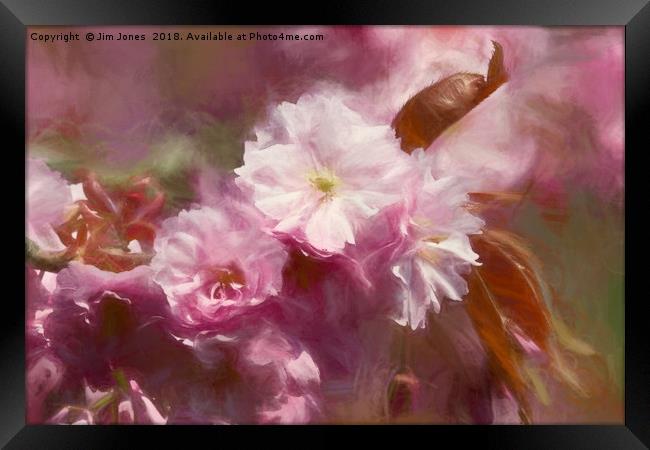 Pastel Pink Impressions Framed Print by Jim Jones