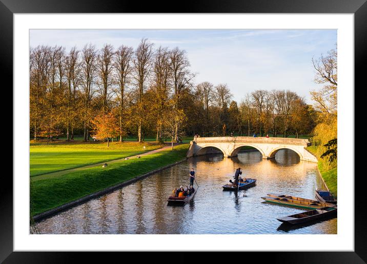 Punting on river Cam Framed Mounted Print by Andrew Michael