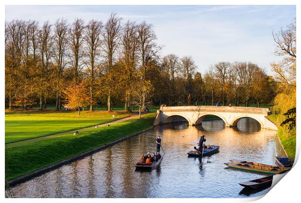 Punting on river Cam Print by Andrew Michael