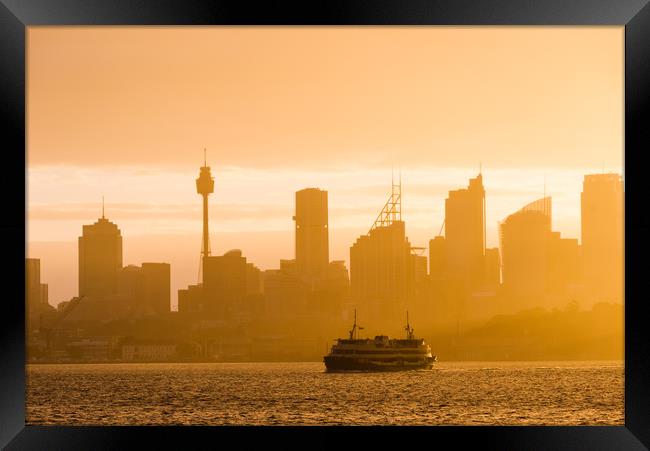 Golden Sydney city skyline Framed Print by Andrew Michael
