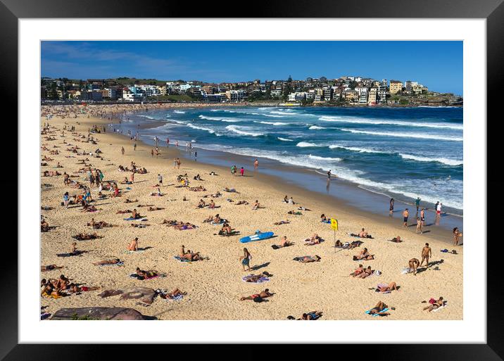 Bondi Beach Framed Mounted Print by Andrew Michael