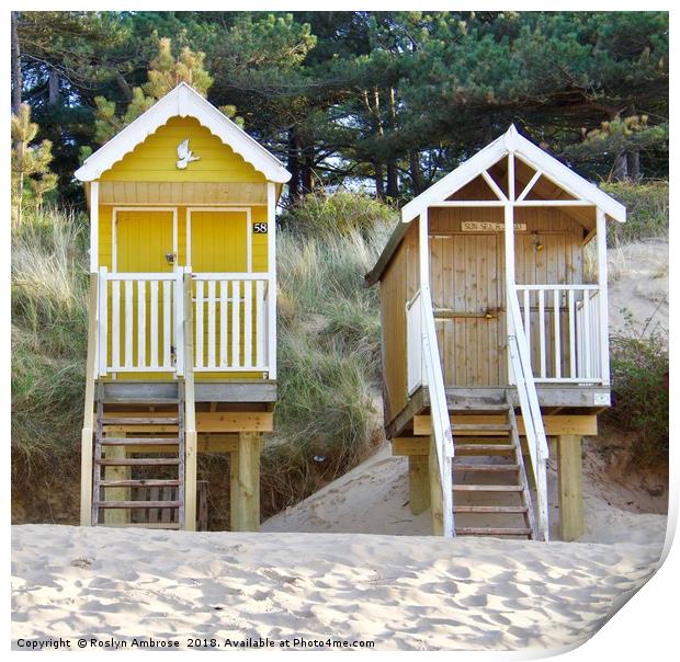 Beach Hut 58 & Beach Hut "Sun Sea & Sand"  Well-Ne Print by Ros Ambrose