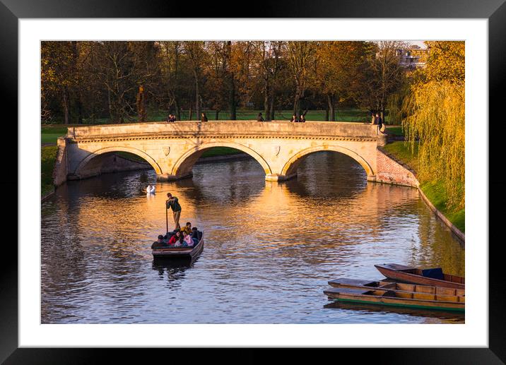 Golden hour at Cambridge Framed Mounted Print by Andrew Michael