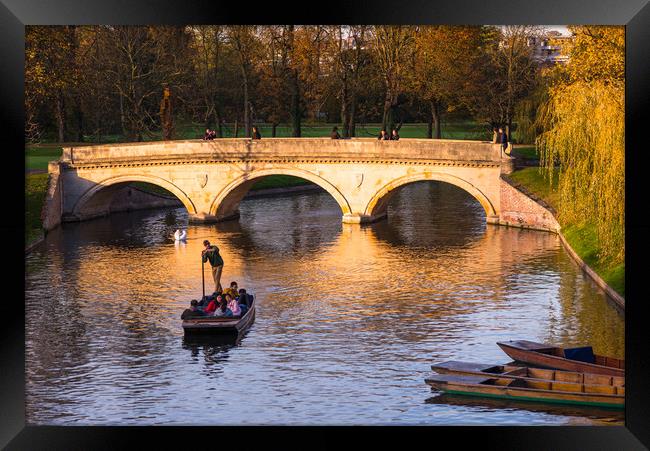 Golden hour at Cambridge Framed Print by Andrew Michael