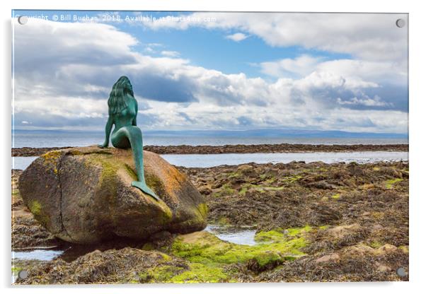 Mermaid Of The North Acrylic by Bill Buchan