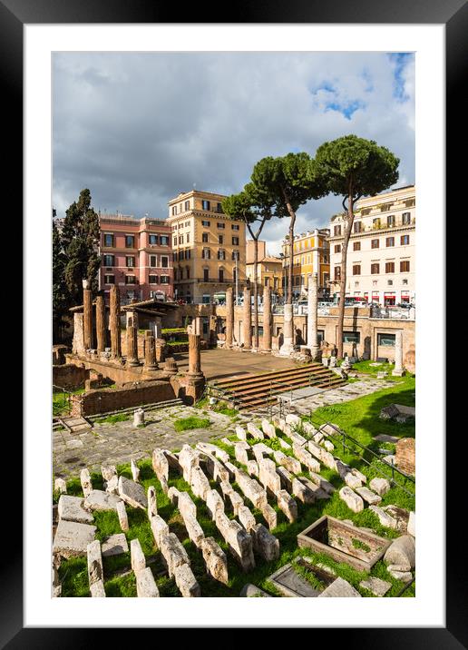 Largo di Torre Argentina Framed Mounted Print by Andrew Michael