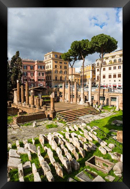 Largo di Torre Argentina Framed Print by Andrew Michael