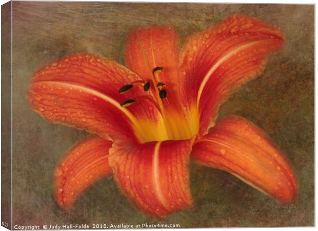 Beauty Within Canvas Print by Judy Hall-Folde