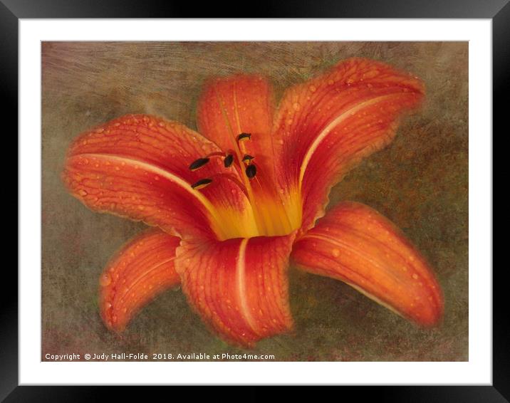 Beauty Within Framed Mounted Print by Judy Hall-Folde
