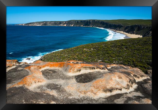Remarkable Rocks, Flinders Chase National Park Framed Print by Andrew Michael