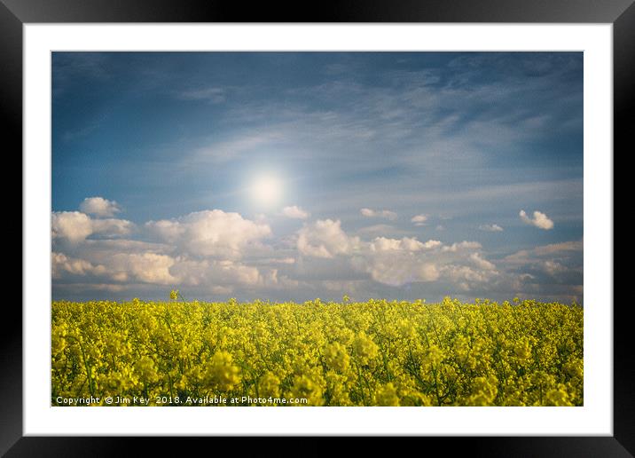 Blue Sky and Yellow Flowers on a Sunny Day  Framed Mounted Print by Jim Key