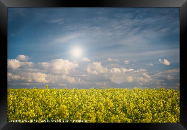 Blue Sky and Yellow Flowers on a Sunny Day  Framed Print by Jim Key
