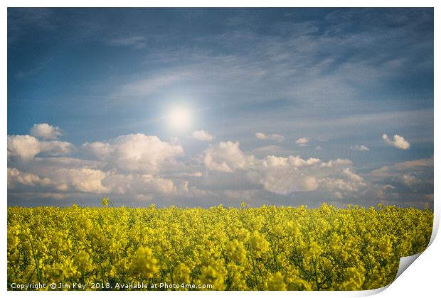 Blue Sky and Yellow Flowers on a Sunny Day  Print by Jim Key
