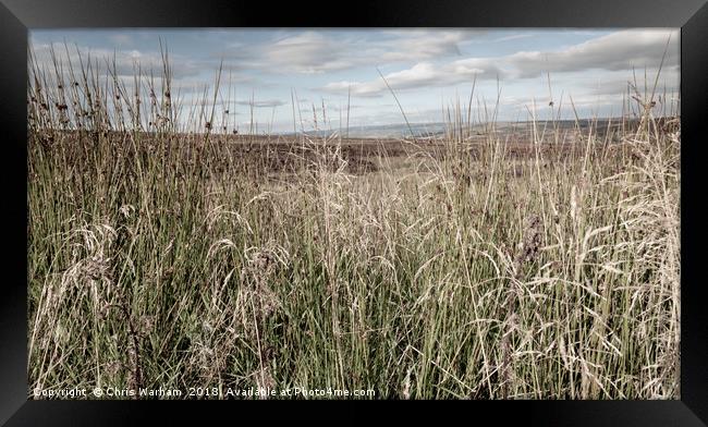 Through the long grass to the Peak District moors Framed Print by Chris Warham