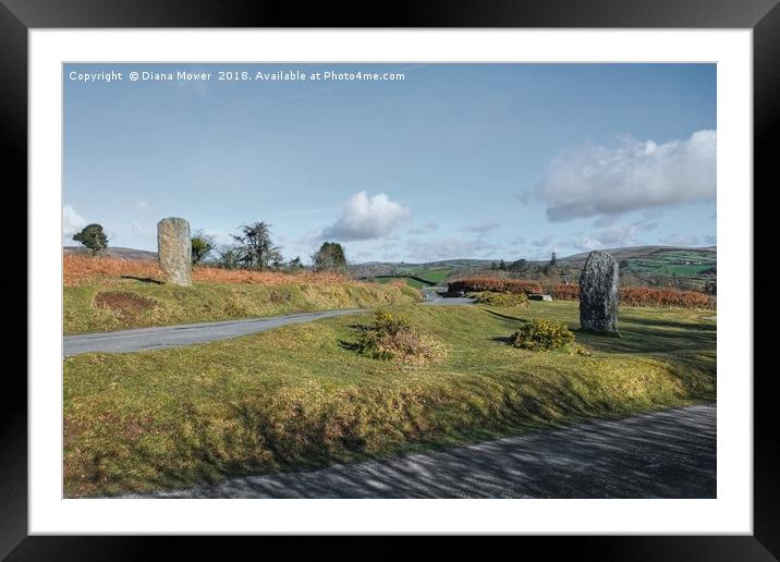 Leusdon , Dartmoor, Devon. Framed Mounted Print by Diana Mower