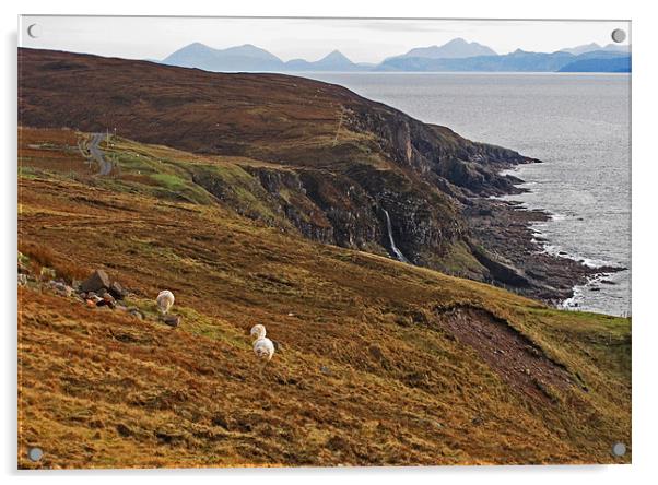 Cuillin View to the Isle of Skye Acrylic by Jacqi Elmslie