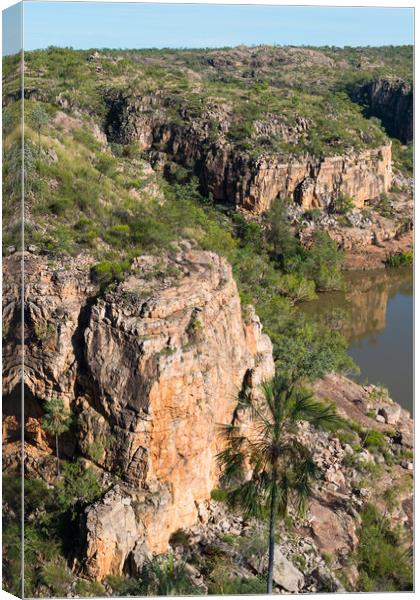 Katherine Gorge Canvas Print by Andrew Michael