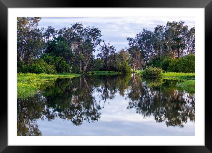 Flooded wetlands during the wet season Framed Mounted Print by Andrew Michael