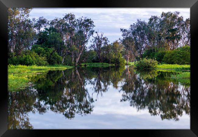 Flooded wetlands during the wet season Framed Print by Andrew Michael