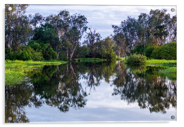 Flooded wetlands during the wet season Acrylic by Andrew Michael