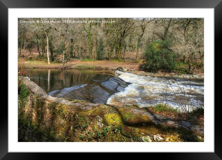 The River Dart at Holne Weir. Framed Mounted Print by Diana Mower