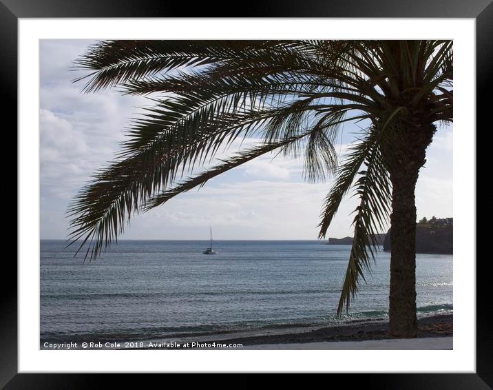 Palm Tree Silhouette Framed Mounted Print by Rob Cole