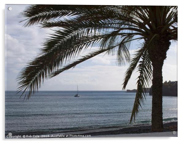 Palm Tree Silhouette Acrylic by Rob Cole