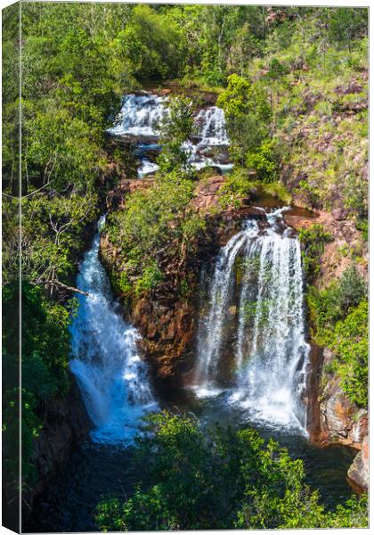 Florence Falls Canvas Print by Andrew Michael