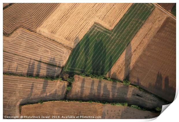 Spain, Catalonia, agriculture Print by PhotoStock Israel