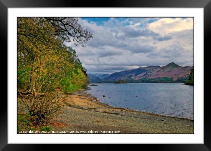 "Evening light at Derwent Water " Framed Mounted Print by ROS RIDLEY