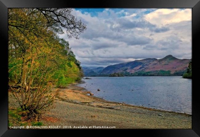 "Evening light at Derwent Water " Framed Print by ROS RIDLEY