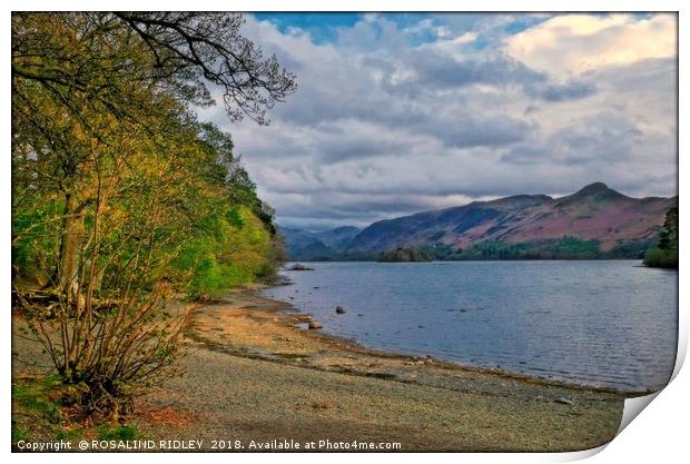 "Evening light at Derwent Water " Print by ROS RIDLEY