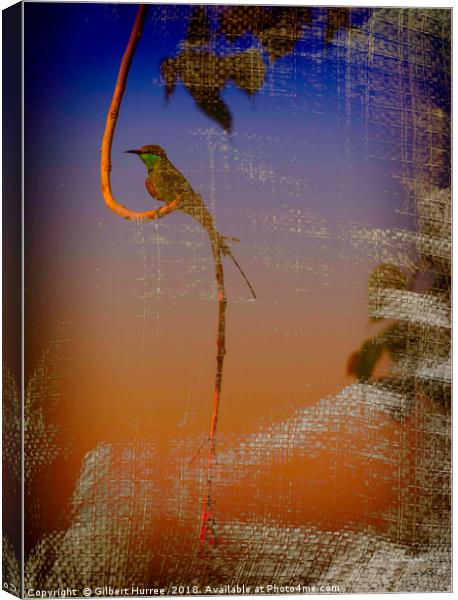 Vibrant Indian Bee-Eater: A Visual Delight Canvas Print by Gilbert Hurree